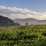 Eggeblick Altenbeken