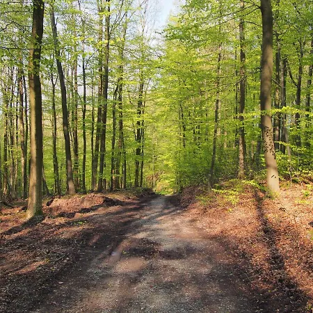 דירה Eggeblick *