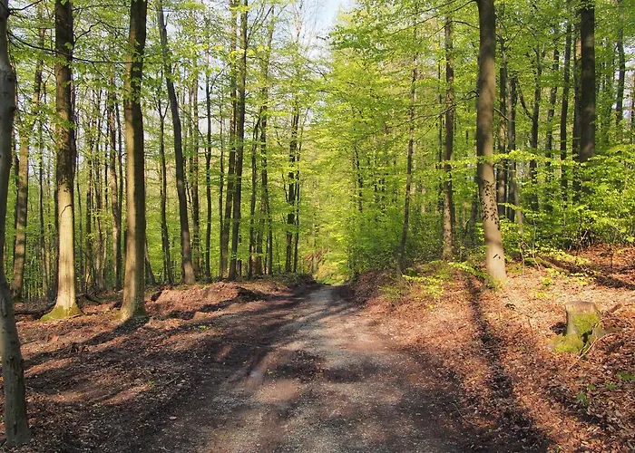 Apartman Eggeblick *